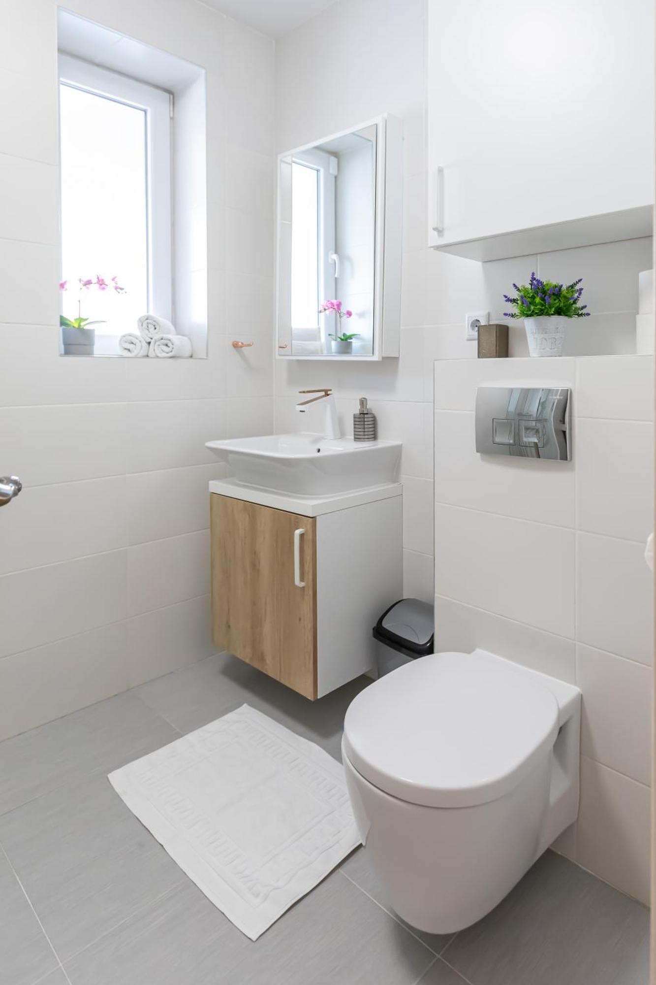 Apartment Montana Garden Brasov