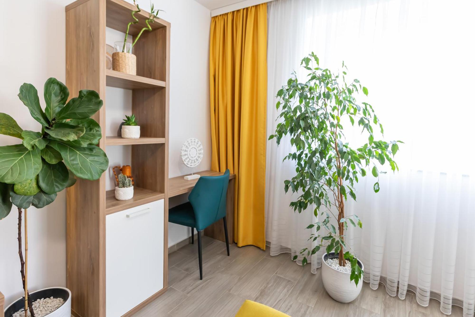 Montana Garden Apartment Brasov